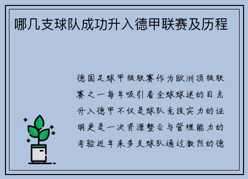 哪几支球队成功升入德甲联赛及历程